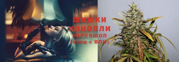 гидра Белоозёрский