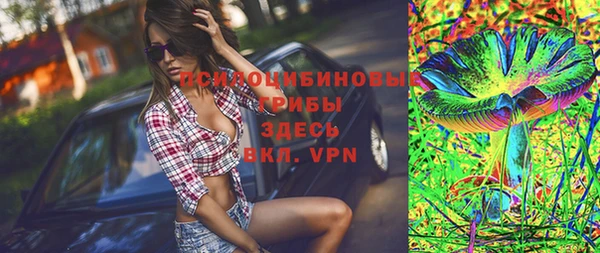 гидра Белоозёрский