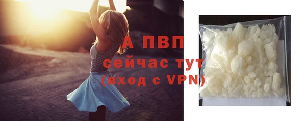 спайс Тавда