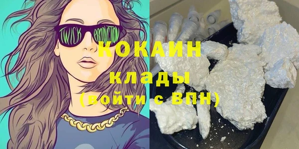 гидра Белоозёрский