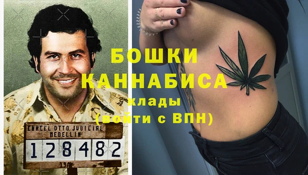 хмурый Белокуриха
