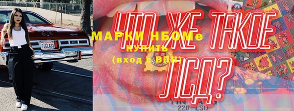 хмурый Белокуриха