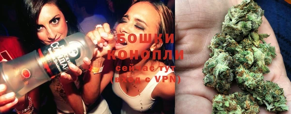 гидра Белоозёрский